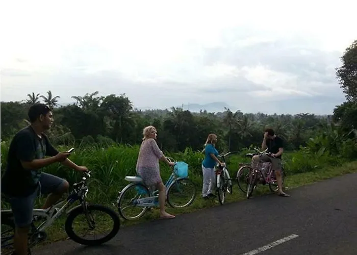 Intaran Karangasem