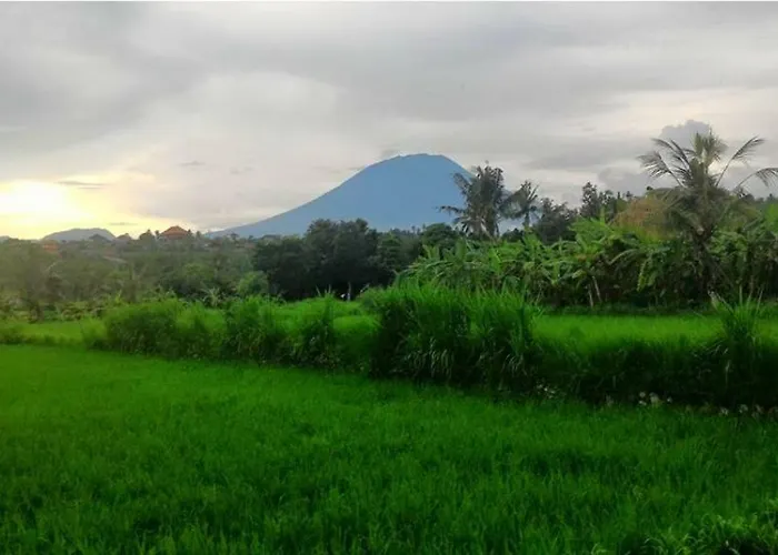 Intaran Karangasem